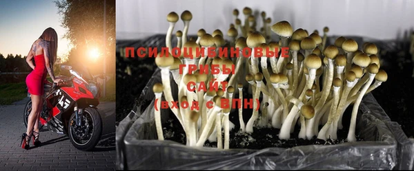 mdma Ростов