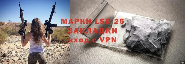 прущий лед Алзамай