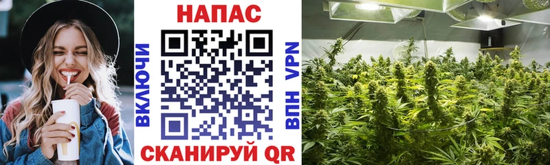 цена наркотик  Берёзовский  MEGA ТОР  Каннабис MAZAR 